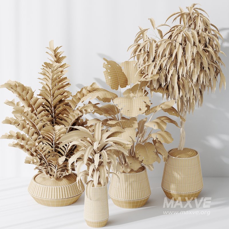 Indoor plant set 25 - Image 4