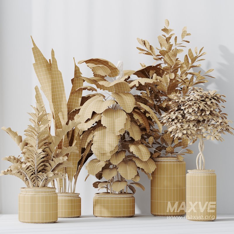 Indoor Plants Set 42 - Image 2