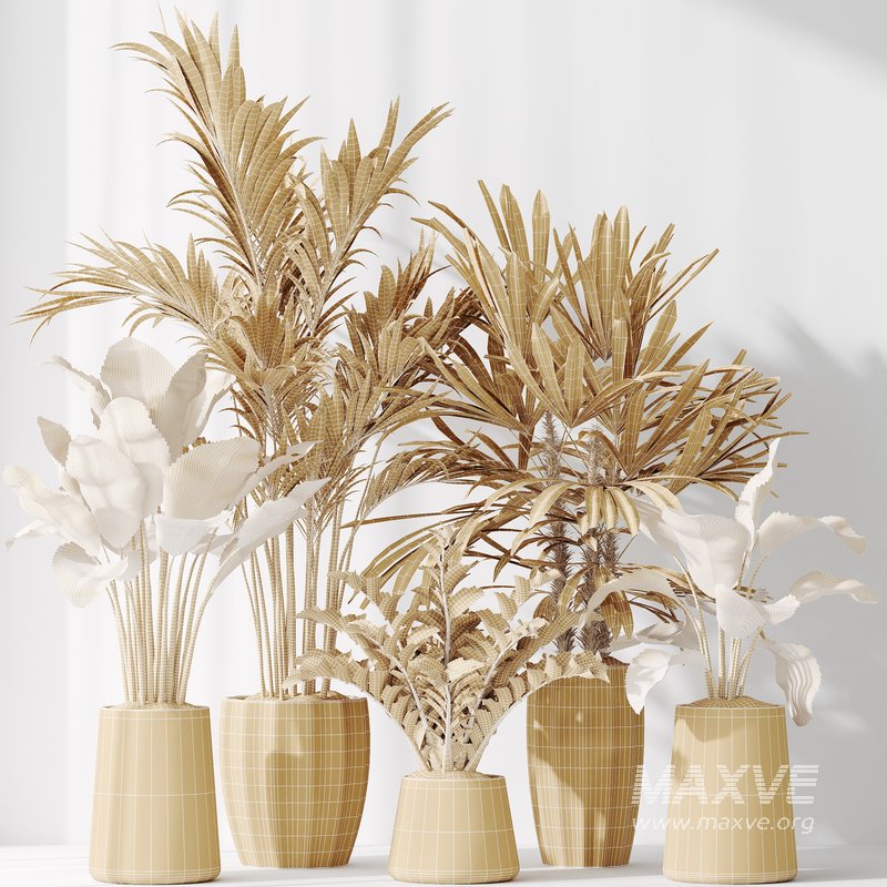 Indoor plant set 40 - Image 4