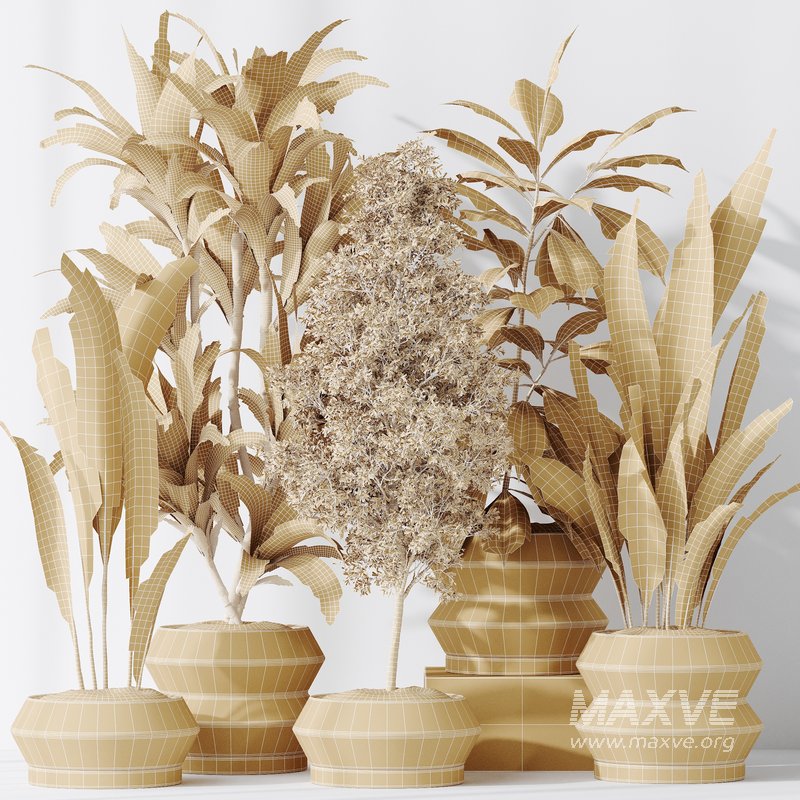 Indoor plant set 52 - Image 3