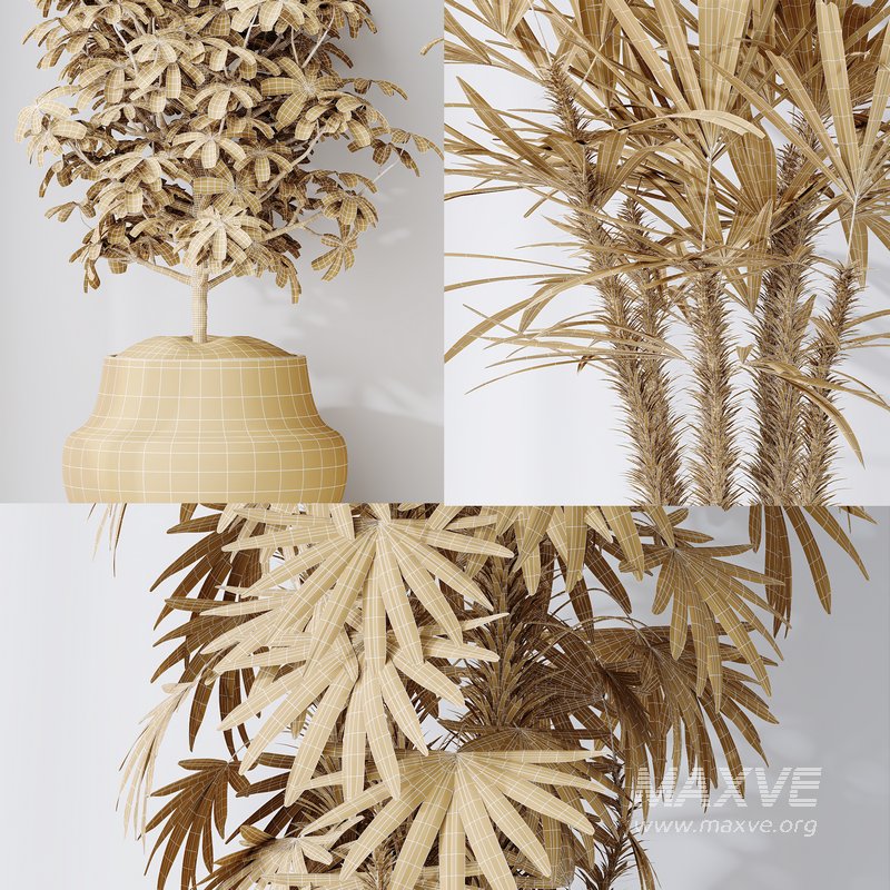 Indoor plant set 35 - Image 4