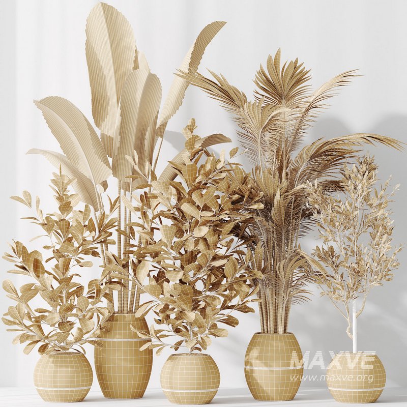 Indoor plant set 51 - Image 5