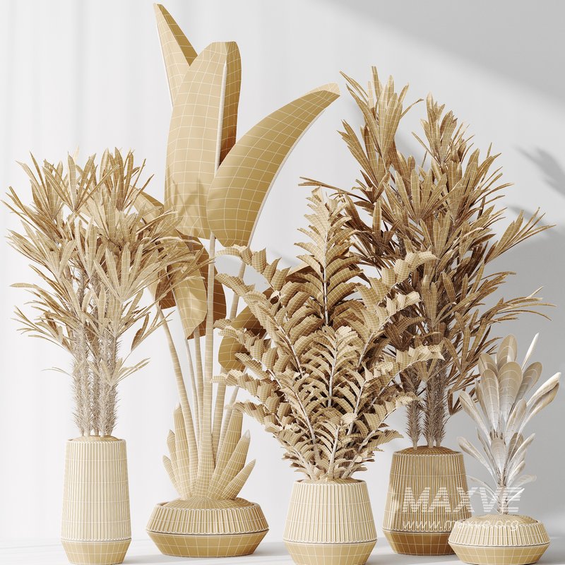 Indoor plant set 49 - Image 5