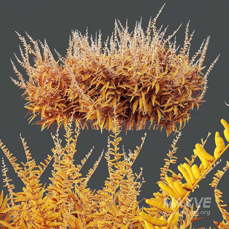 HQ Plants Salvia Leucantha Mexican Sage Santa Barbara - Image 5