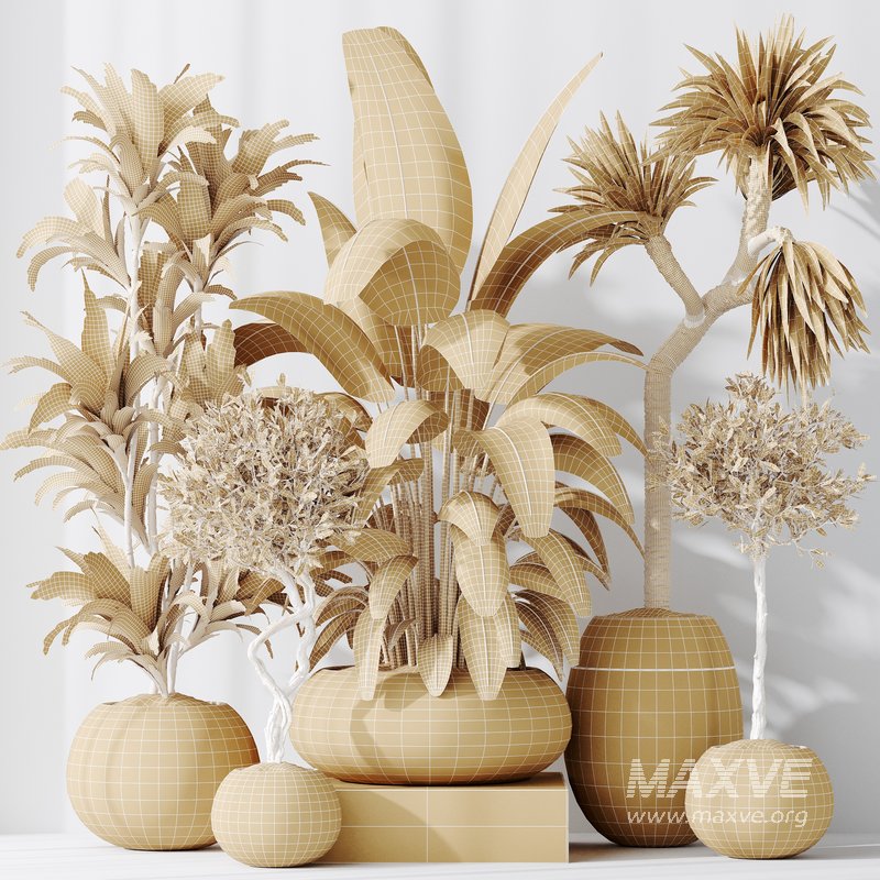 Indoor plant set 47 - Image 5