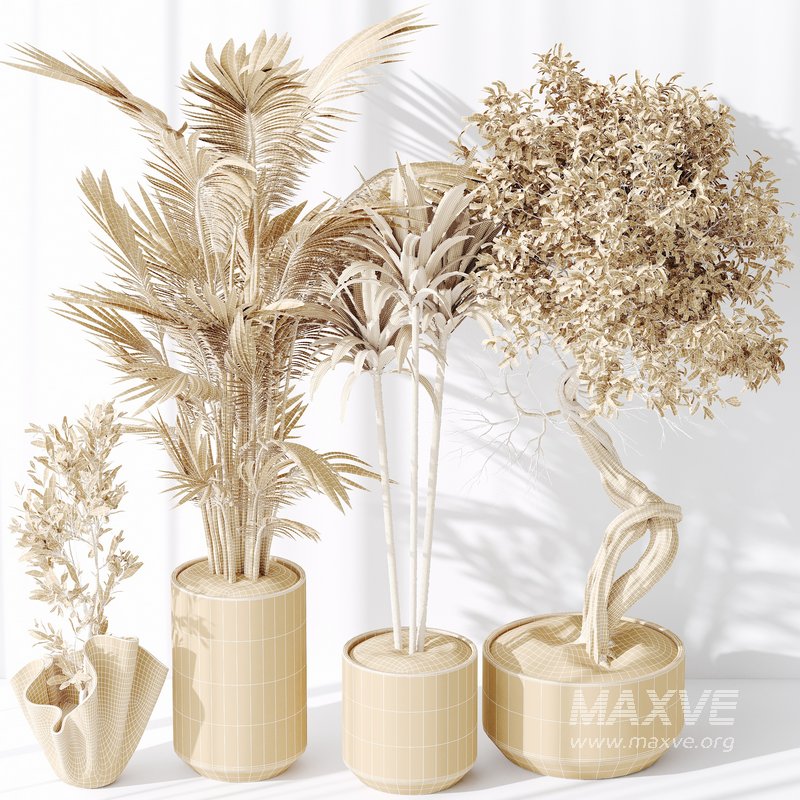 Indoor plant set 33 - Image 3