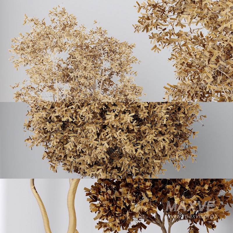 Indoor plant set 55 - Image 6