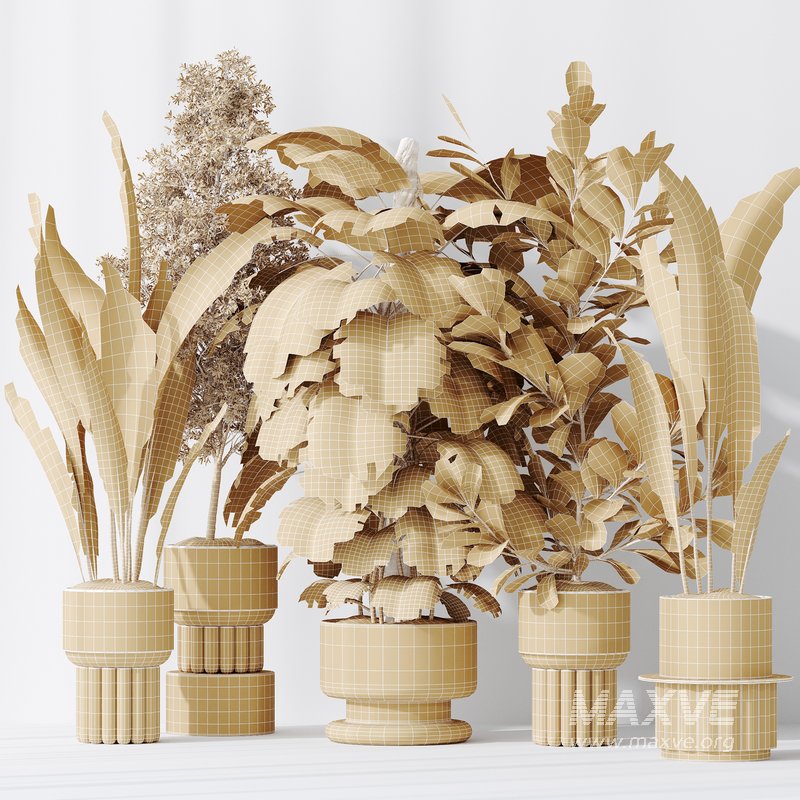 Indoor plant set 48 - Image 5