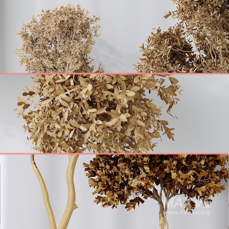 Indoor plant set 44 - Image 4