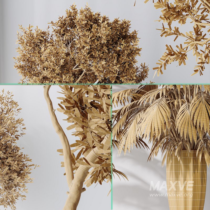 Indoor plant set 34 - Image 5