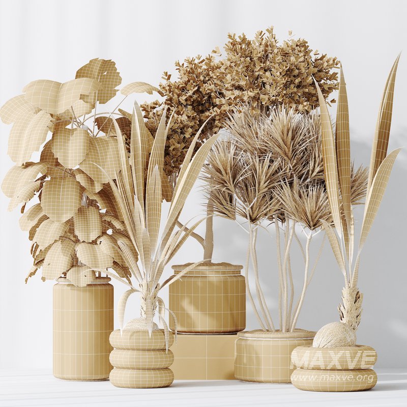 Indoor plant set 50 - Image 6