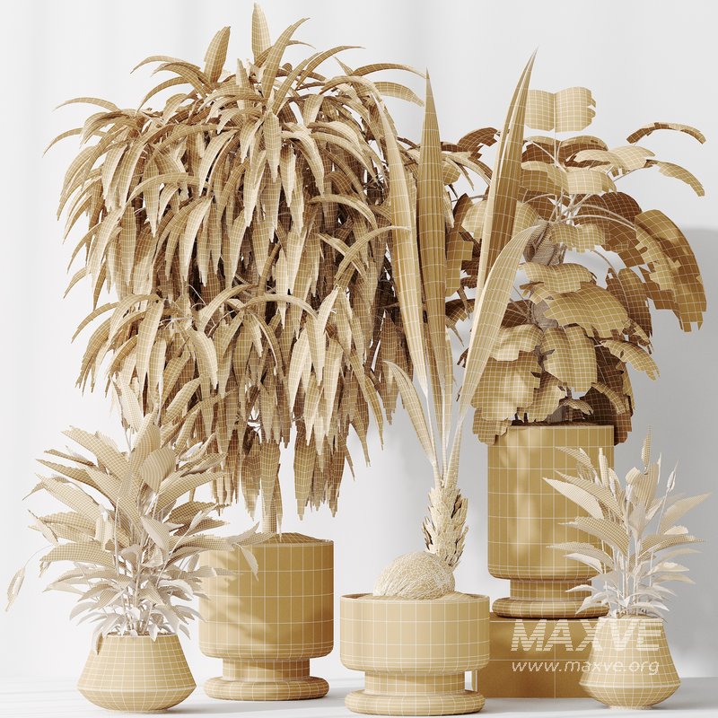 Indoor plant set 53 - Image 5