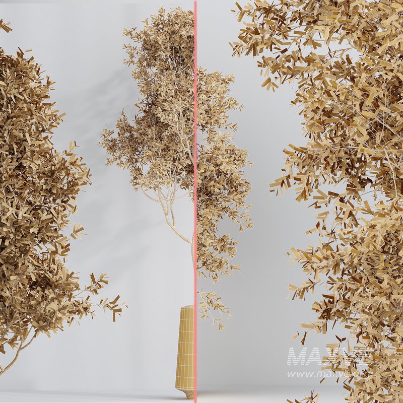 Indoor plant set 45 - Image 6