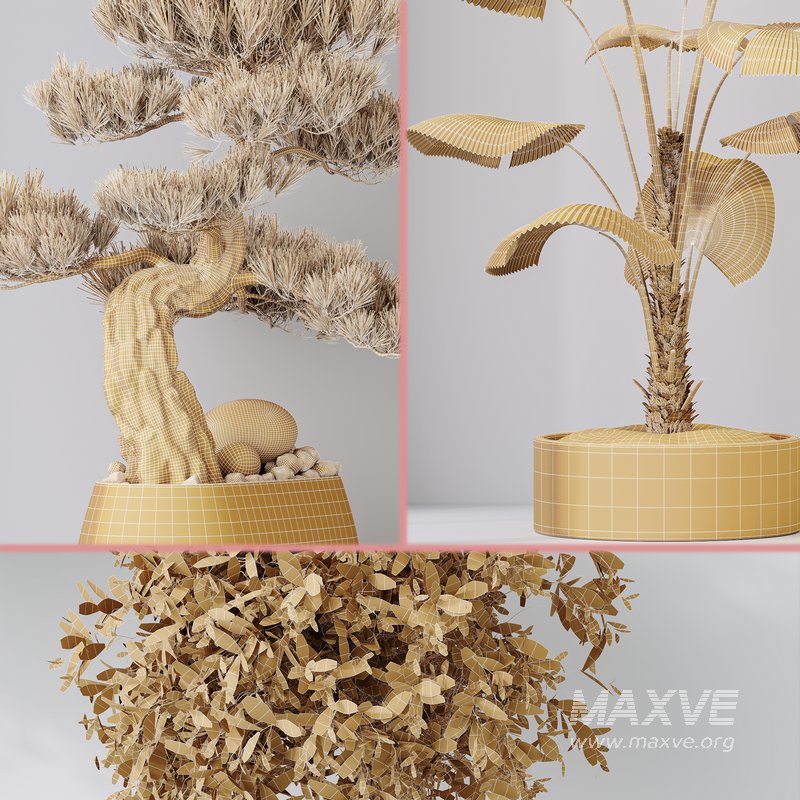 Indoor plant set 32 - Image 7