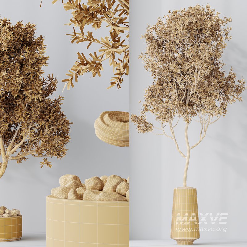 Indoor plant set 54 - Image 6