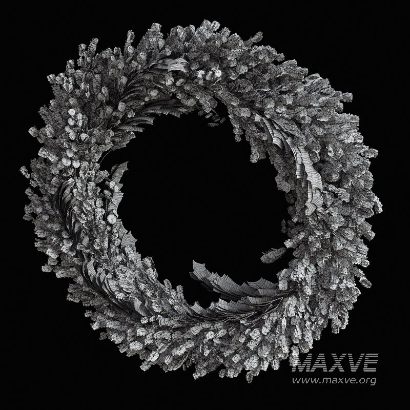 Wall hanging Pampas Ring - Image 3