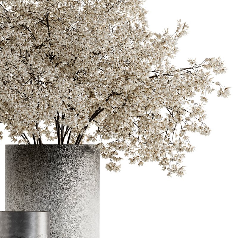 Indoor Plant 08 - Image 2