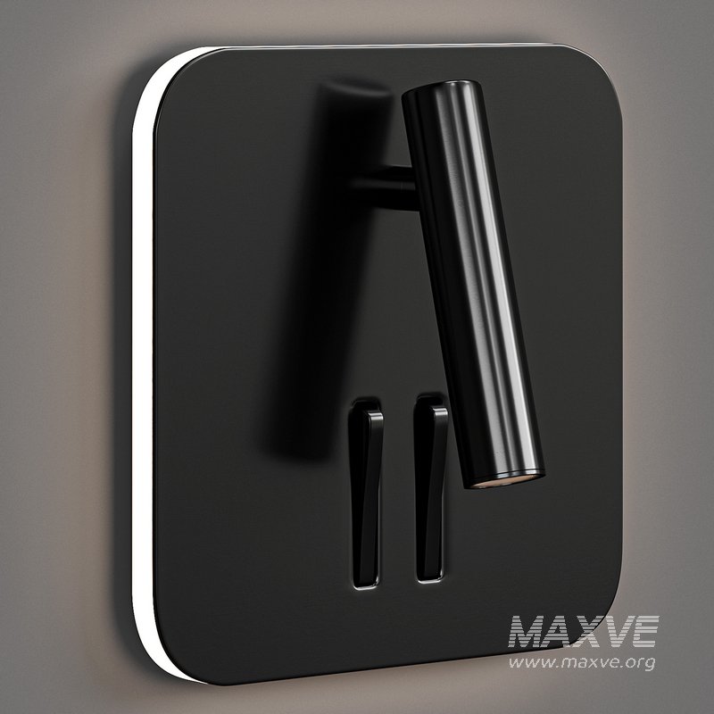 Silver Cayman - Image 3