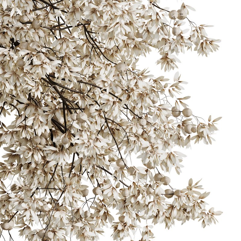 Indoor Plant 078 - Image 5