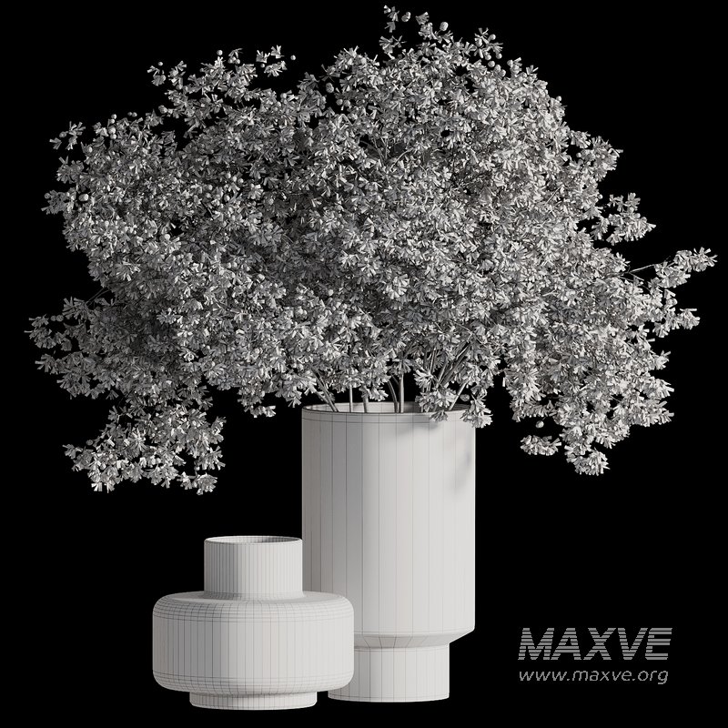 Indoor Plant 078 - Image 6