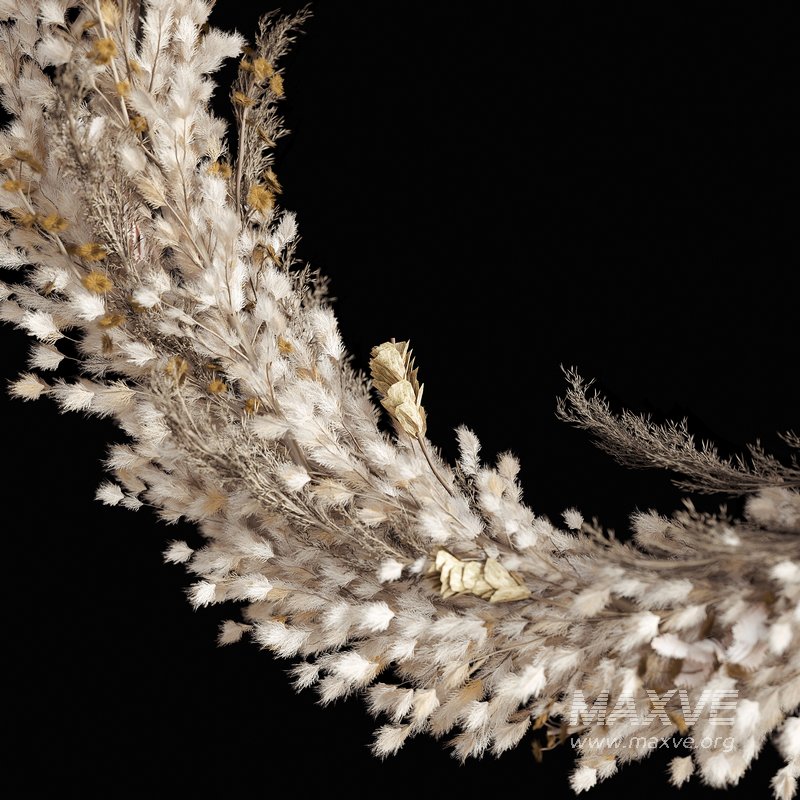 Wall hanging Pampas Ring - Image 2