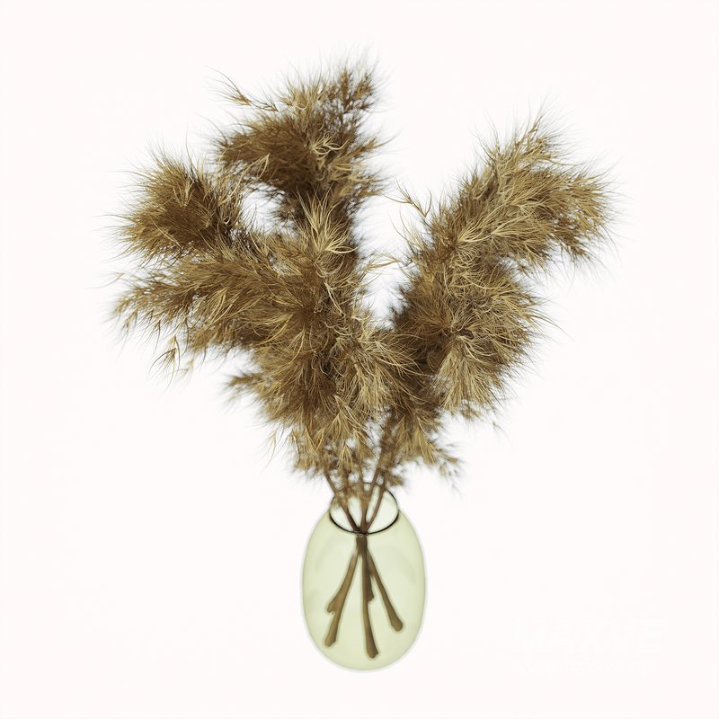 pompas bouquet - Image 2