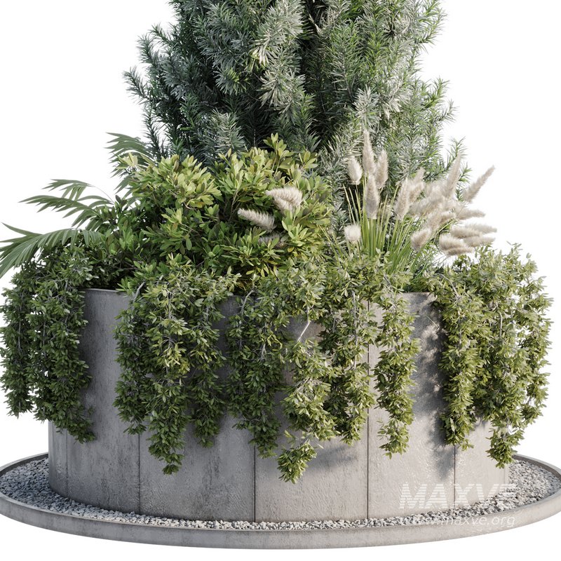 OutDoor Plant 06 - Image 3