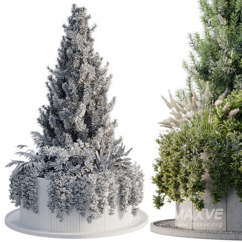 OutDoor Plant 06 - Image 4