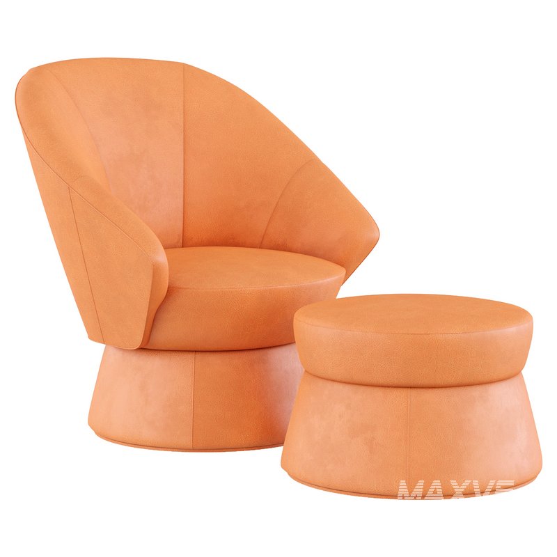 Armchair_by_De_Sede - Image 2