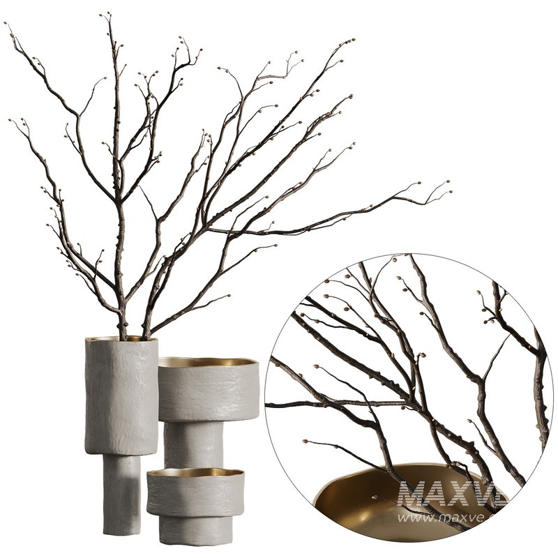 Indoor Plant 07 - Image 1