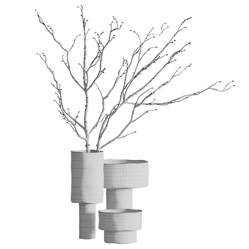 Indoor Plant 07 - Image 3