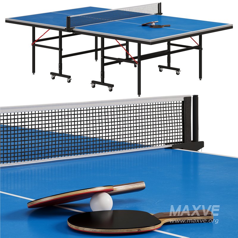 Tennis table Champion professional tournament table for table tennis by Allegro - Image 2