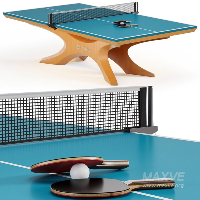 Professional tennis table SAN EI Infinity Rio by Billiardvip - Image 3
