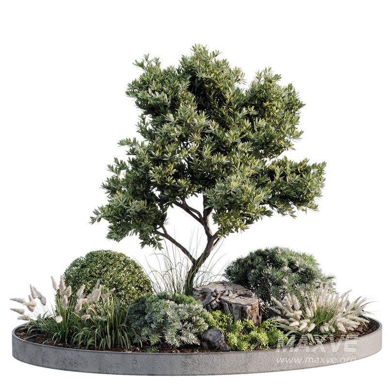 Outdoor Plant 05 - Image 2