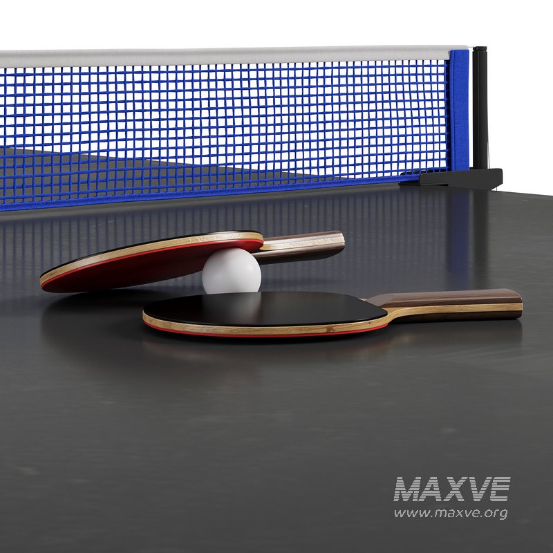 Stol Tennis Special by Bazzar - Image 2