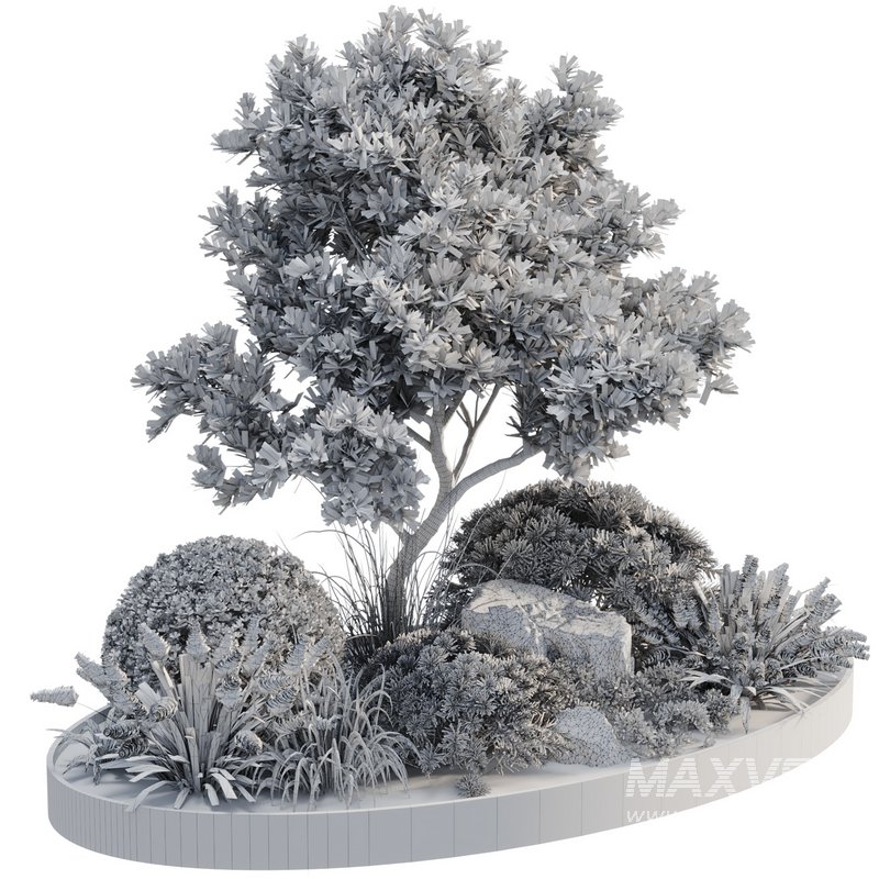 Outdoor Plant 05 - Image 4