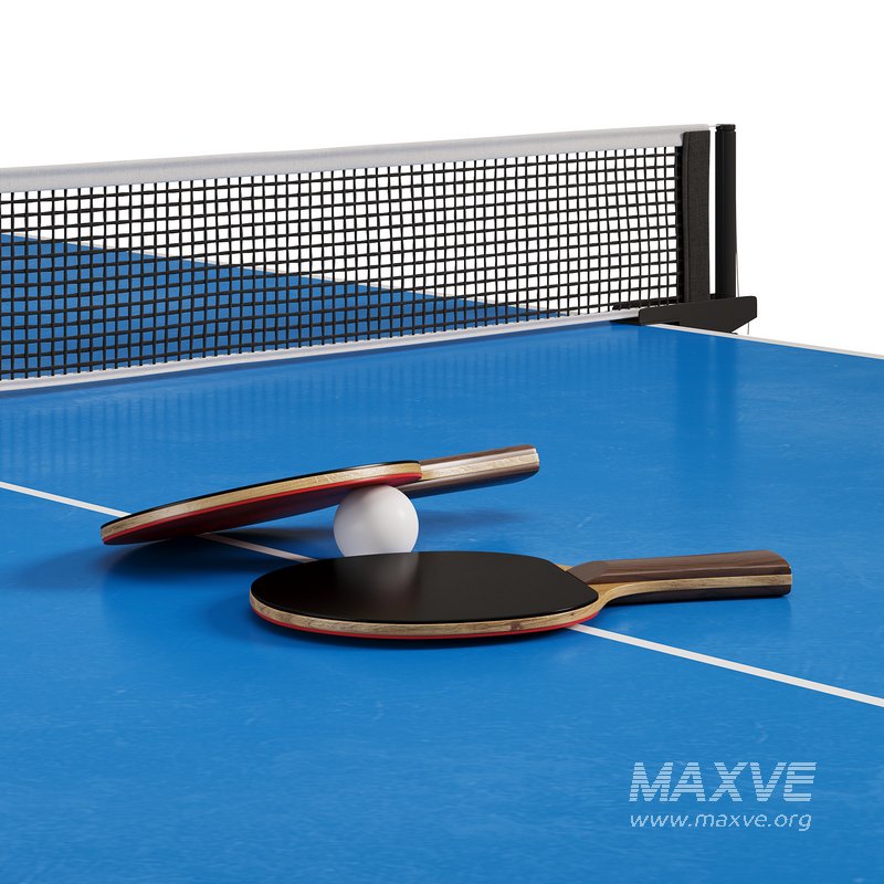 Tennis table Champion professional tournament table for table tennis by Allegro - Image 4