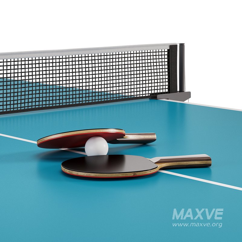 Professional tennis table SAN EI Infinity Rio by Billiardvip - Image 5