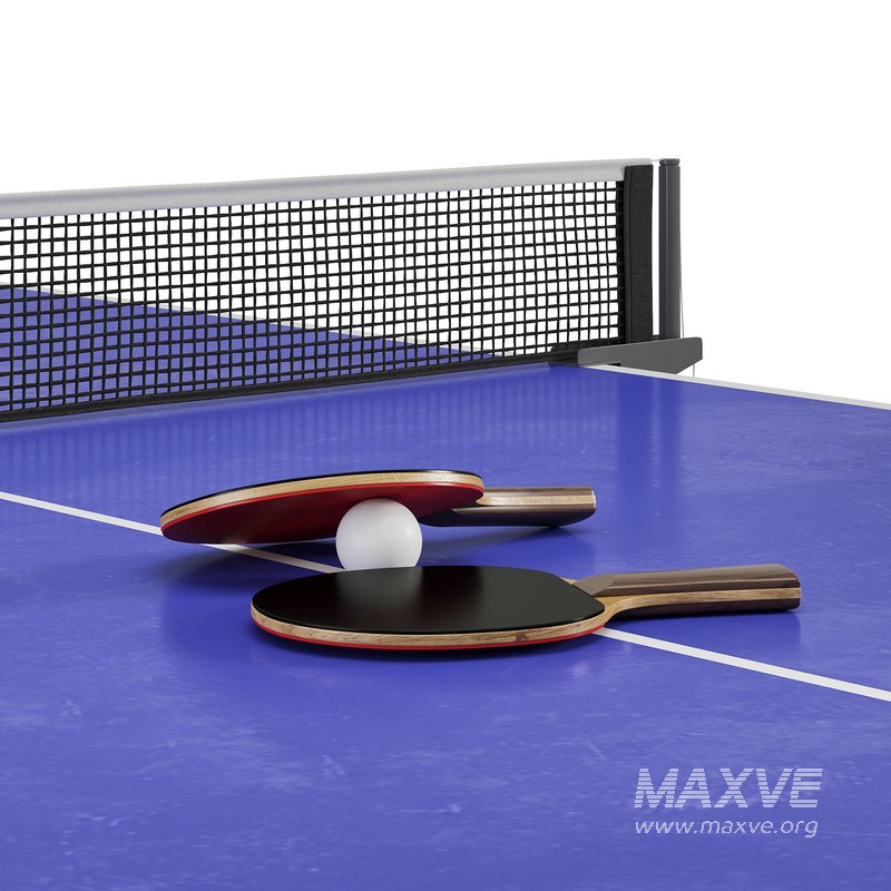 Profesyonel Ping Pong Tennis Table by Turkish Alibaba - Image 5