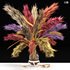 Vase of color pampas grass and Wheat - Thumbnail 1