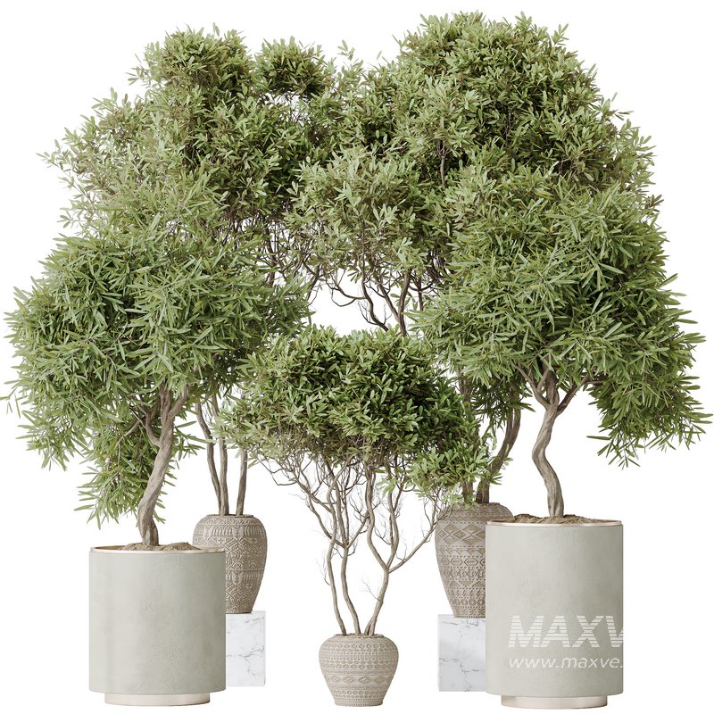 Indoor plant set 65 - Image 1