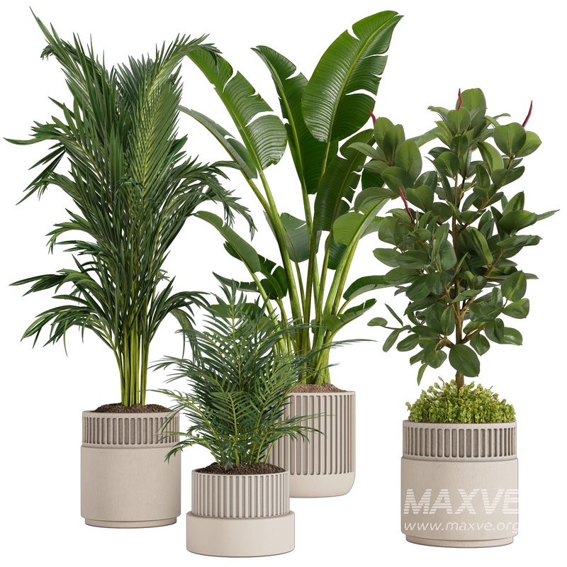 Indoor plant set02 - Image 1