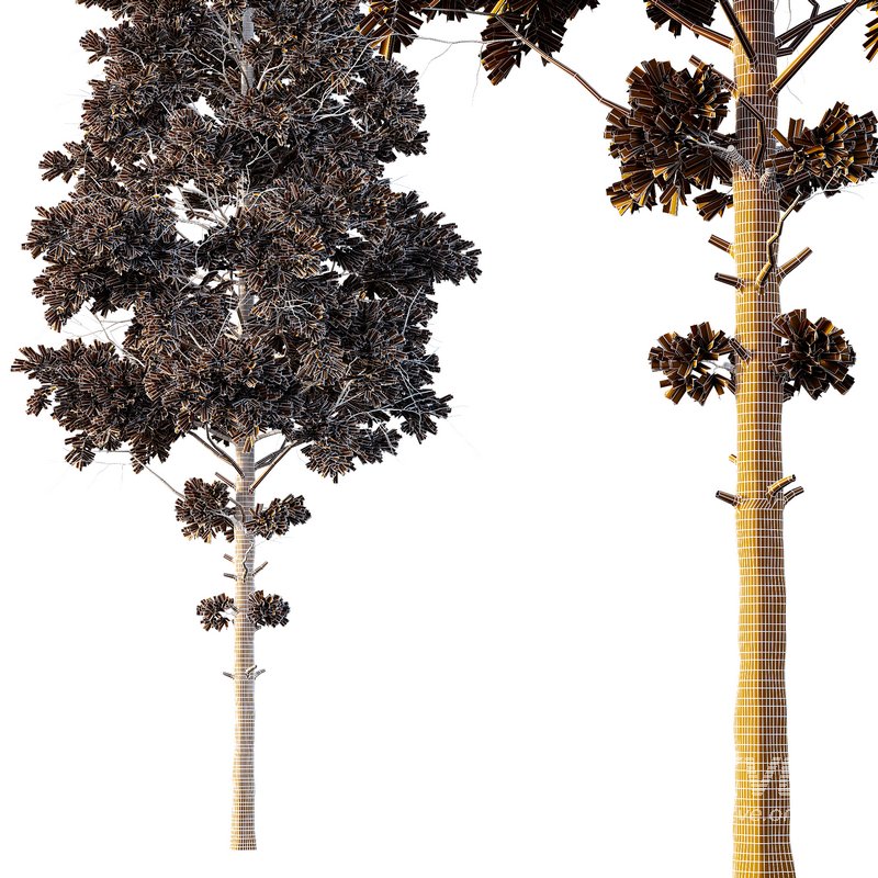 pin tree 04 - Image 2