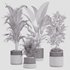 Indoor plant set02 - Thumbnail 2