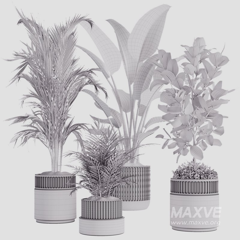 Indoor plant set02 - Image 2