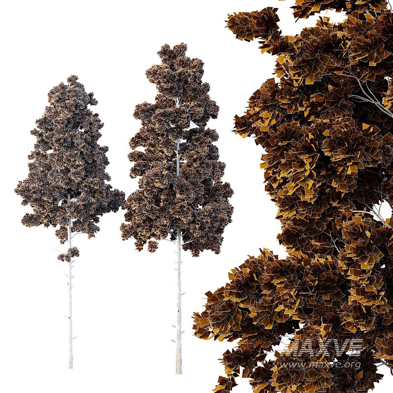 Pin Tree 07 - Image 3