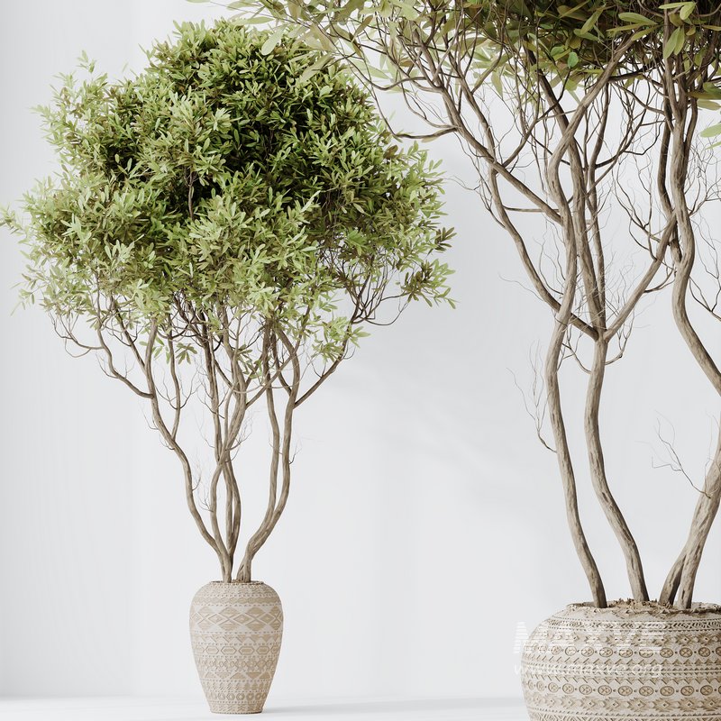 Indoor plant set 65 - Image 2