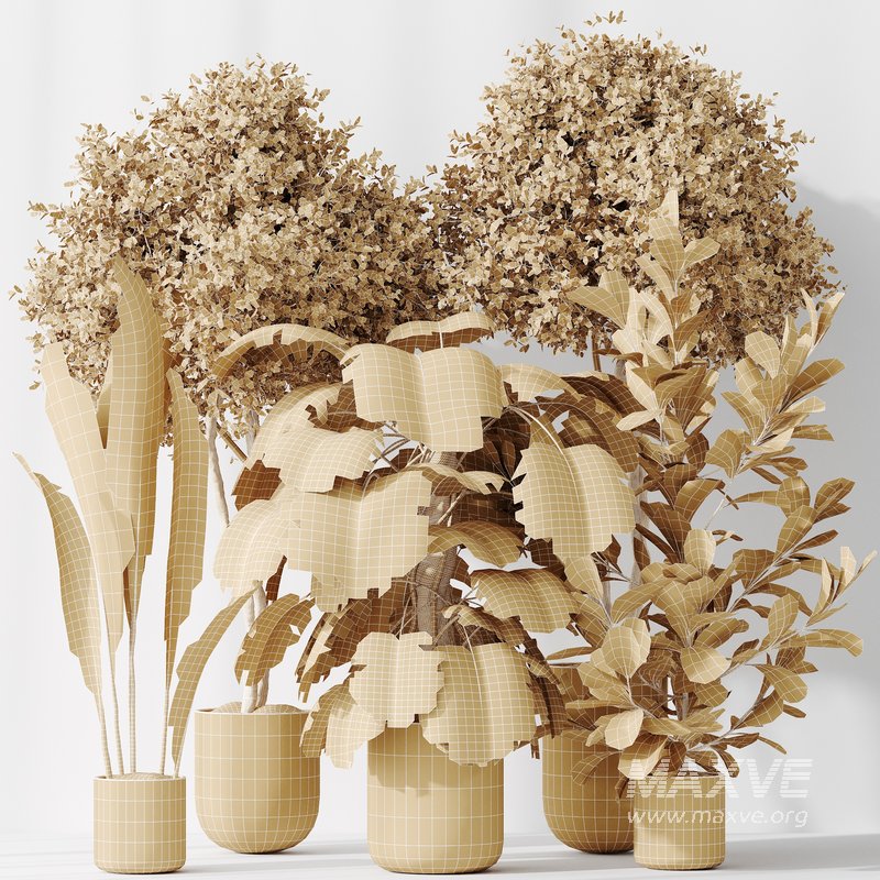 Indoor plant set 59 - Image 4