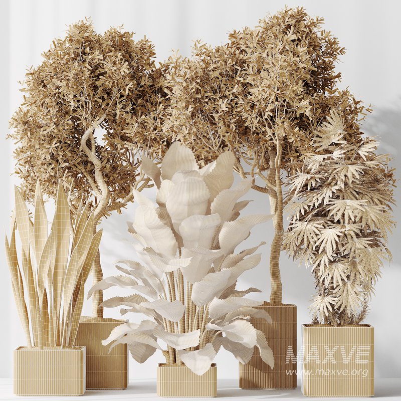 Indoor plant set 61 - Image 2