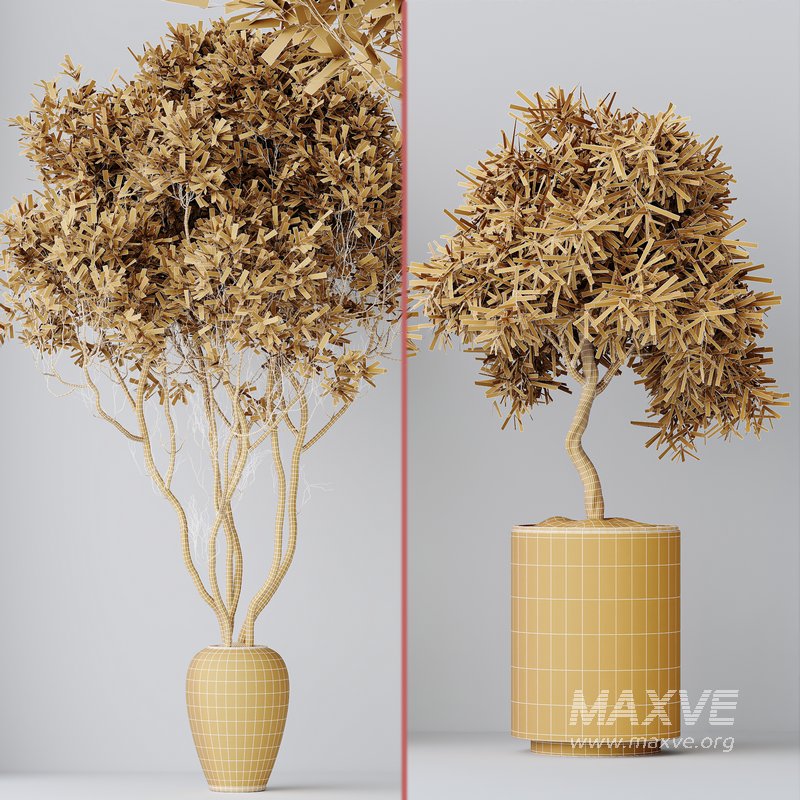 Indoor plant set 65 - Image 4